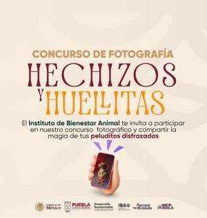 Concurso fotográfico “Hechizos y Huellitas”
