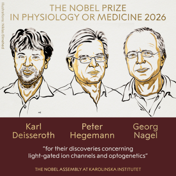 Nobel 2026 reconoce avances en optogenética