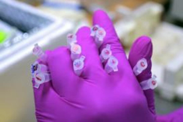 BUAP fortalece investigación molecular