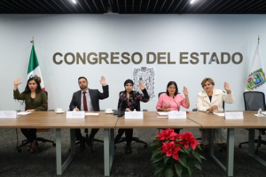 Mascotas no son juguetes: Congreso