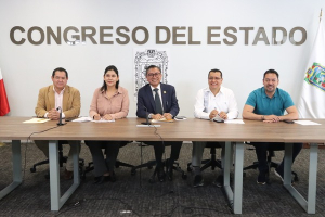 Congreso busca reforman licencia de maternidad