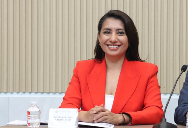 Avanza en Congreso la Ley de Industrias Creativas