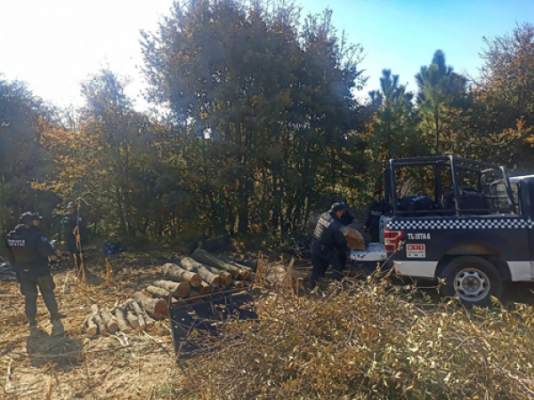 Primer decomiso de la Guardia y Policía Forestal en coordinación con Tlaxcala