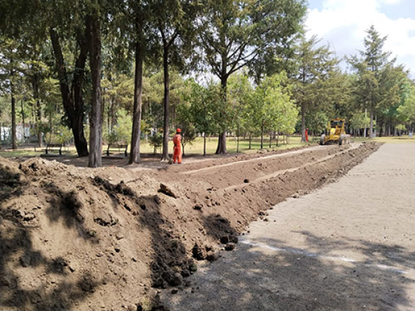 Parque Flor del Bosque, suspensión temporal