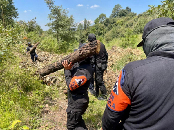 Aseguran SSP de Puebla y Tlaxcala hornos clandestinos