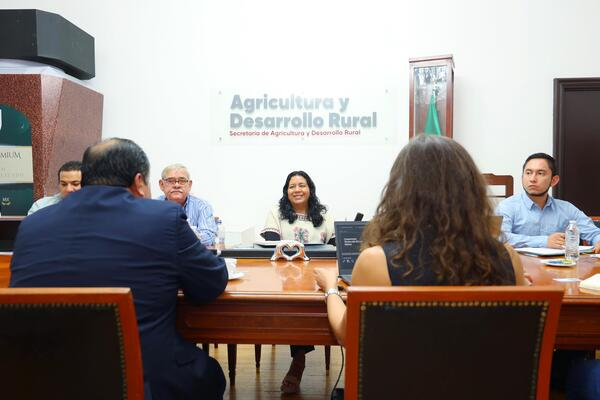 SDRA fortalece la producción ovina y caprina