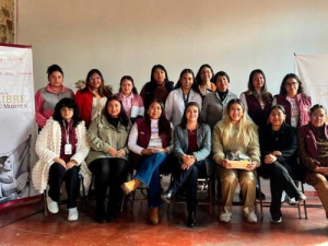 Puebla profesionaliza atenci&oacute;n a mujeres