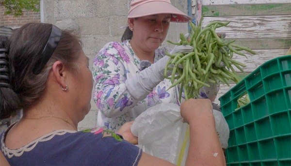 Sana alimentación para más de 600 familias de Tehuacán