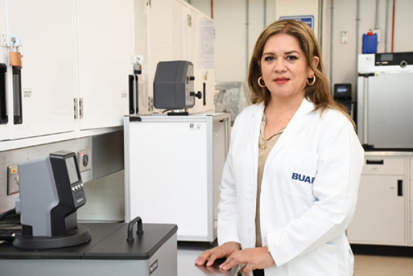 BUAP: Prevenir diabetes con planta Tecoma stans
