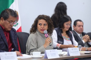 Aprueba Comisi&oacute;n reconocimiento a mujeres ind&iacute;genas