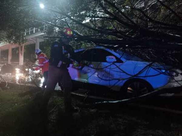 PC Municipal atiende afectaciones por lluvias