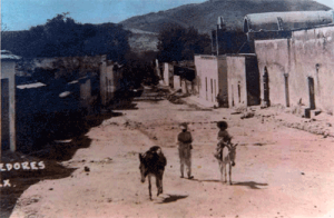 Los servicios p&uacute;blicos y la atenci&oacute;n a la salud en Chiautla de Tapia