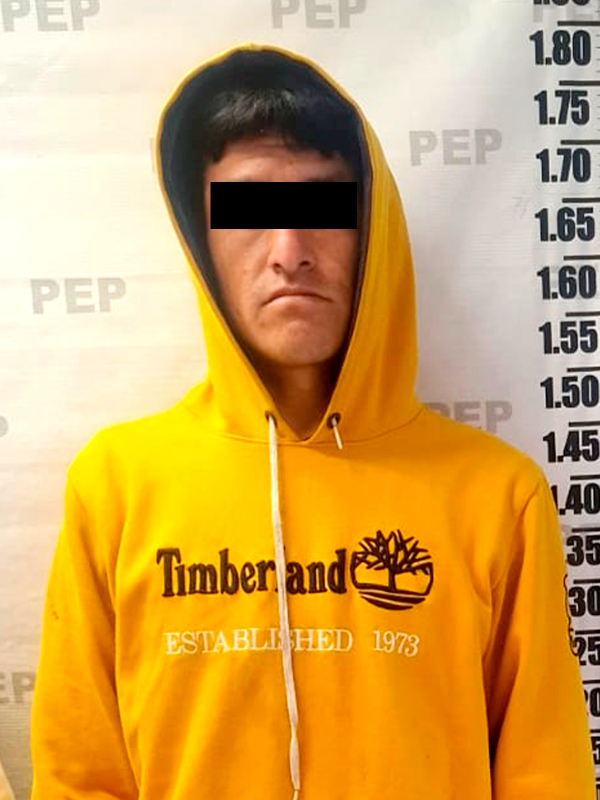 SSP recupera 165 piezas de madera ilegal