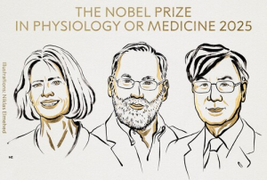 Mary E. Brunkow, Fred Ramsdell y Shimon Sakaguchi 