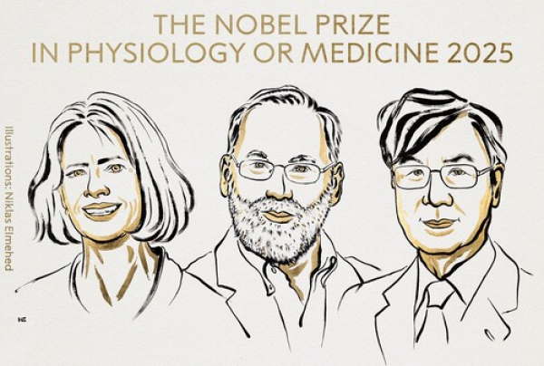 Mary E. Brunkow, Fred Ramsdell y Shimon Sakaguchi 