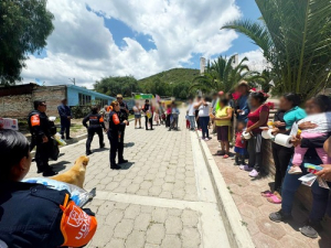 SSP entrega víveres en Amixtlán, Miahuatlán y Tlaola
