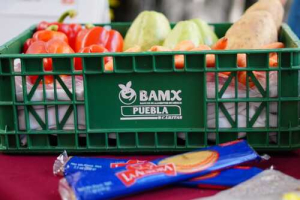 M&aacute;s recursos para asociaciones civiles: Bienestar