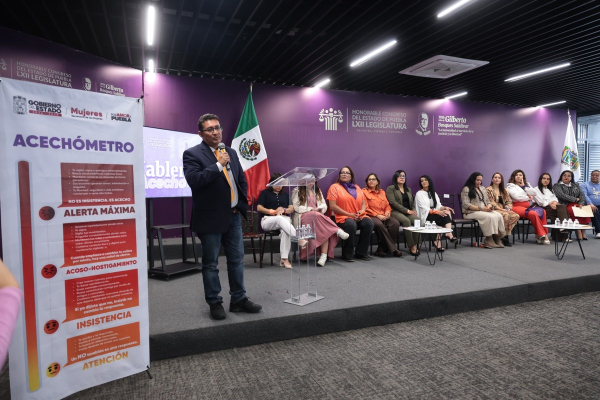 Analizan medidas para prevenir el acecho