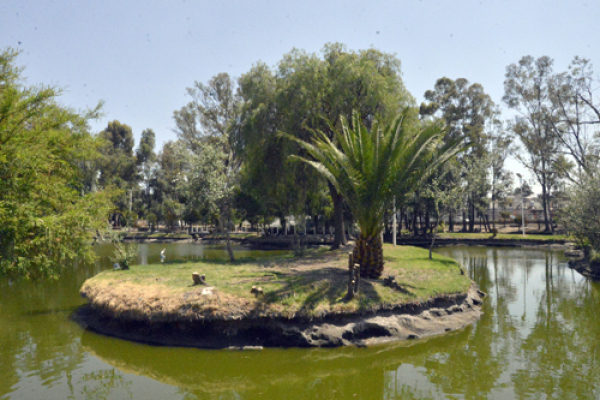 Restaura BUAP laguna de Ciudad Universitaria