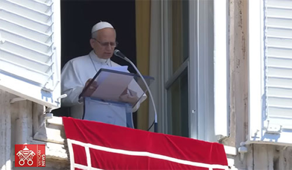 El Buen Pastor no viene a robarnos nada, al contrario, multiplica la vida