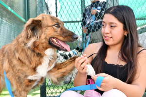 CAETO protege a sus coterapeutas caninos