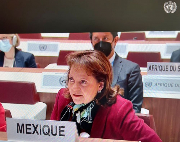 México participa en los derechos humanos de Ucrania