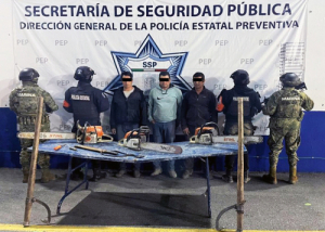 Detienen SSP y SEMAR a tres hombres por tala ilegal