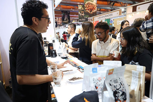 2000 productores de café, te esperan en Expo CONCAFÉ 2026