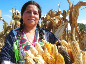 Anuncian concurso fotográfico &quot;Miradas de nuestra tierra&quot;